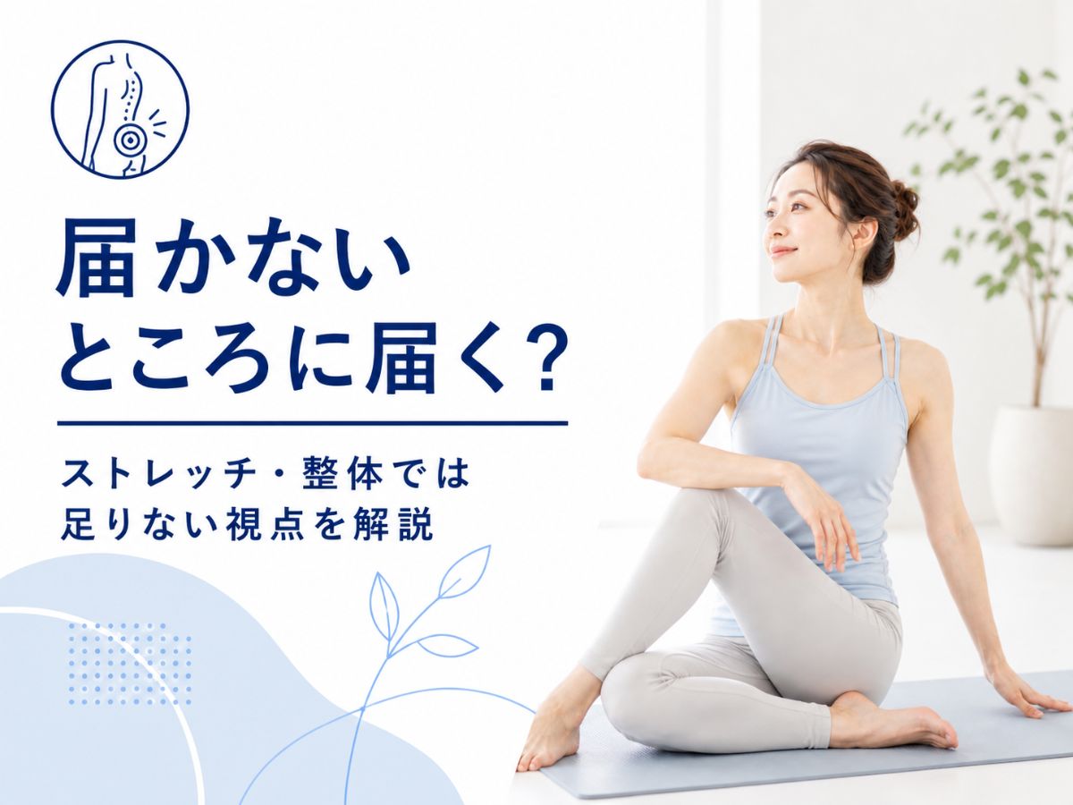 ストレッチや整体で戻りやすい理由とマシンピラティスの連動を解説するコラム